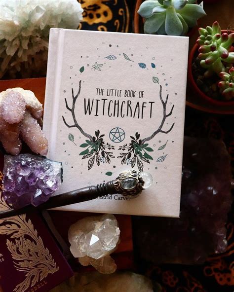 The Enchanted Garden: Exploring Nature's Magick for Witches